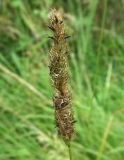 Photo of the association