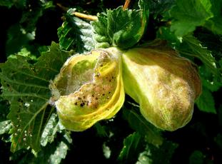 Photo of the association