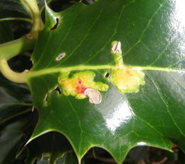 Photo of the association