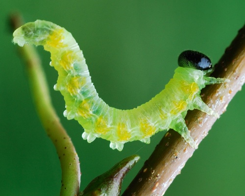 Photo of the association