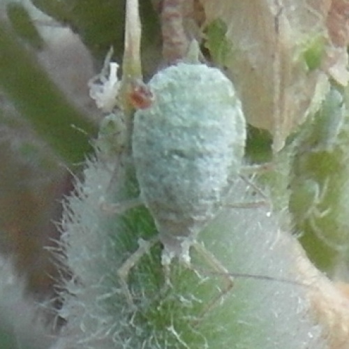 Photo of the association