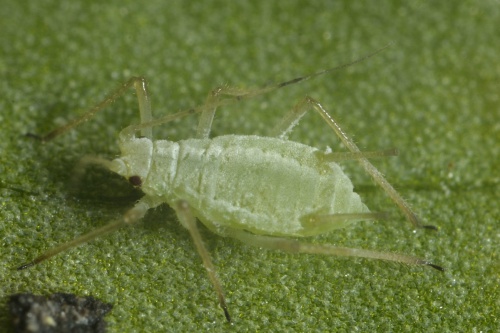 Photo of the association