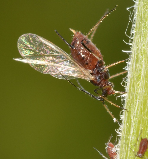 Photo of the association