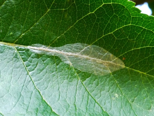 Photo of the association