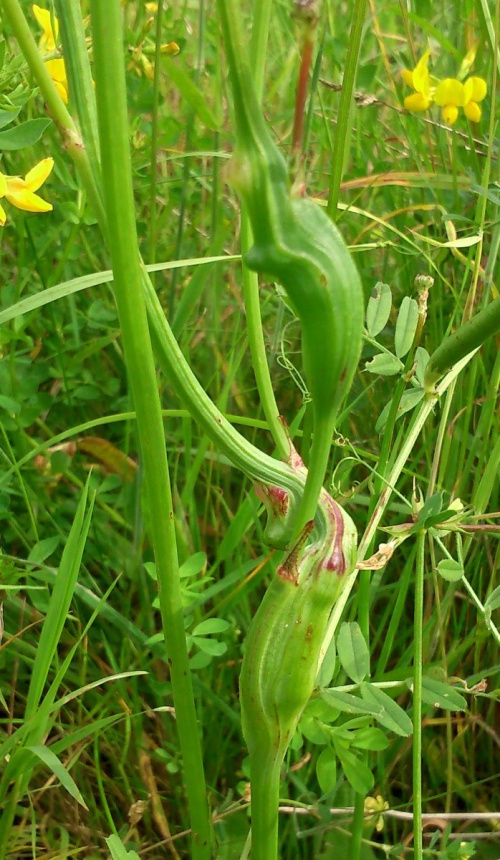 Photo of the association