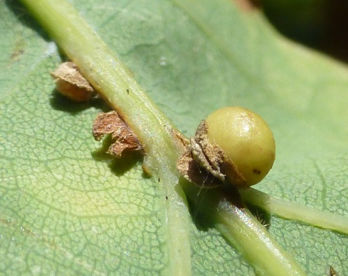 Photo of the association