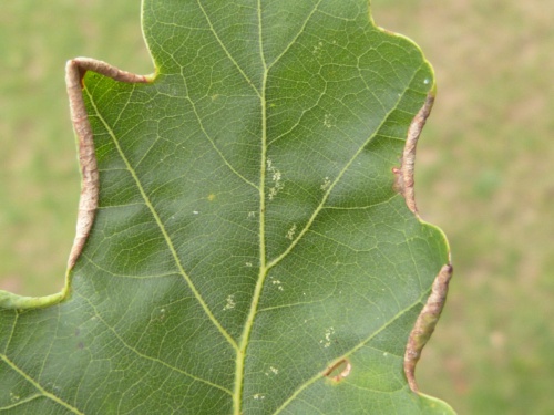 Photo of the association