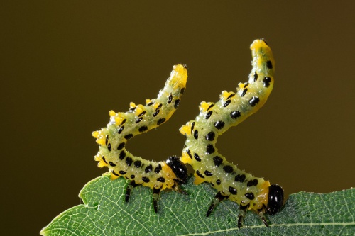 Photo of the association