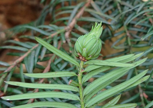 Photo of the association