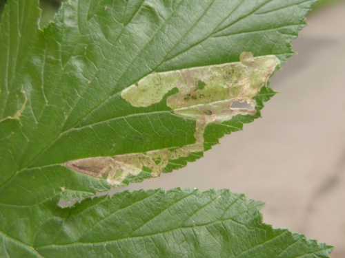 Photo of the association