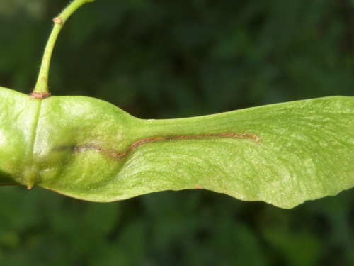 Photo of the association