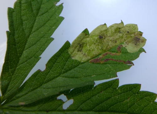 Photo of the association