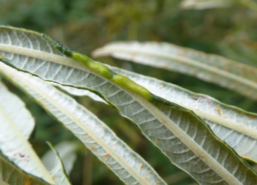 Photo of the association