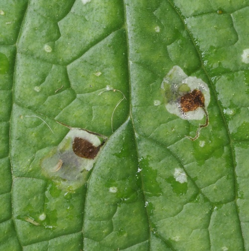 Photo of the association