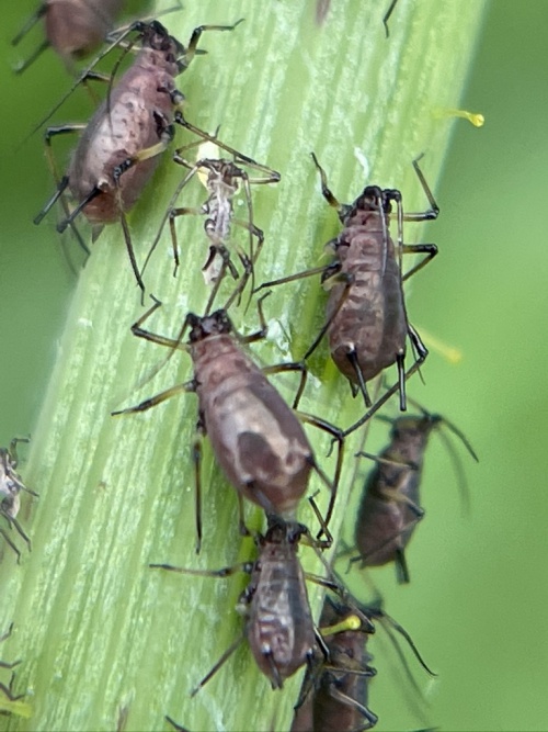 Photo of the association