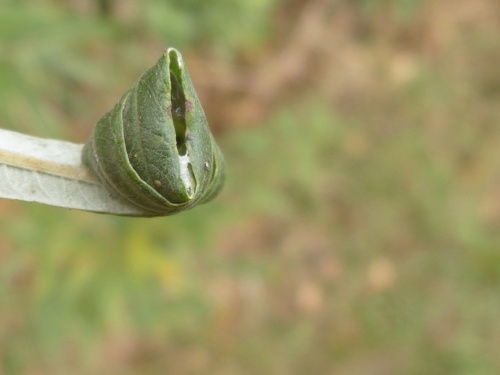 Photo of the association