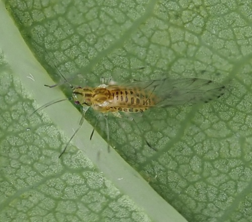 Photo of the association