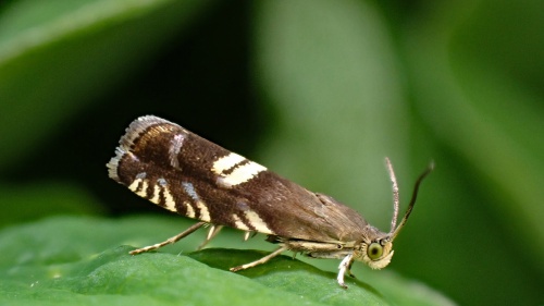 Photo of the association