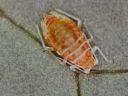 Photo of the association