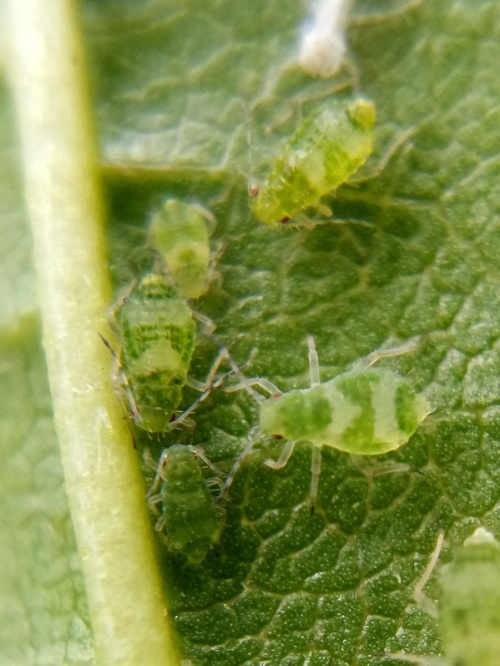 Photo of the association