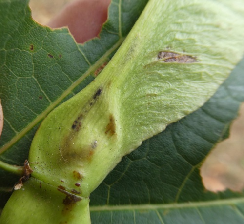 Photo of the association