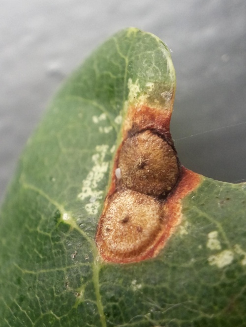 Photo of the association