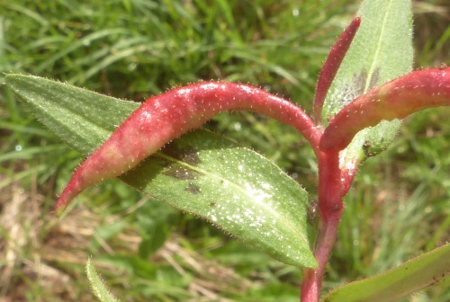 Photo of the association