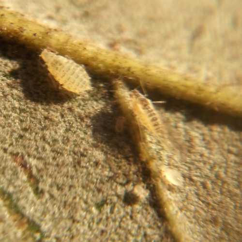 Photo of the association