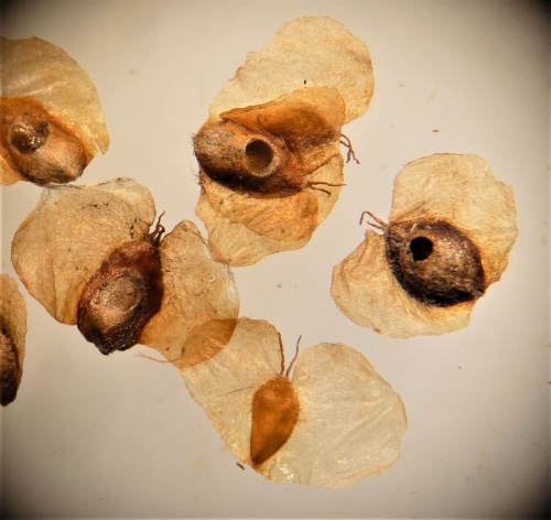 Photo of the association