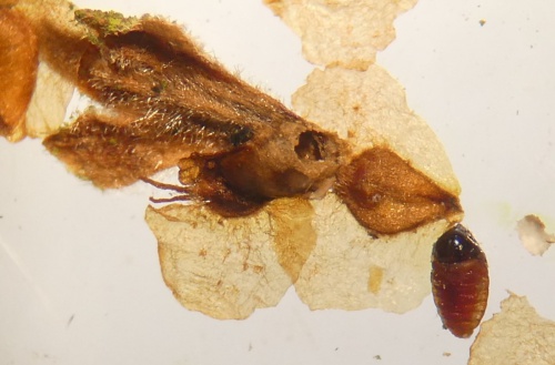 Photo of the association