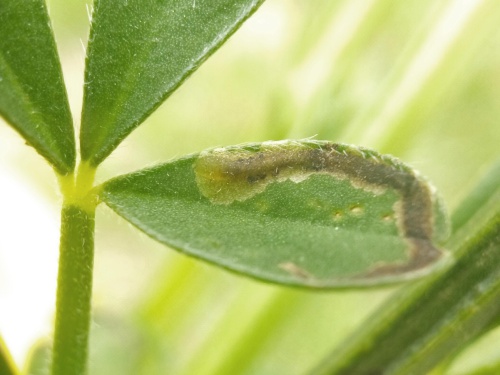 Photo of the association