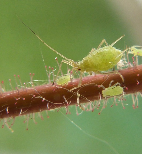 Photo of the association