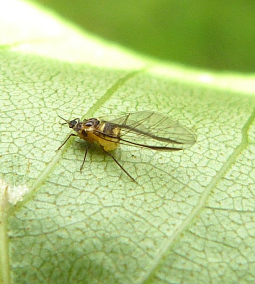 Photo of the association