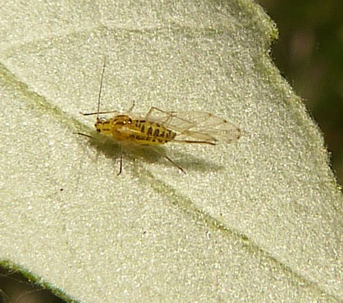 Photo of the association