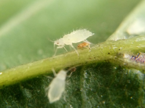 Photo of the association