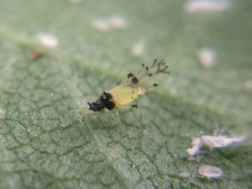 Photo of the association