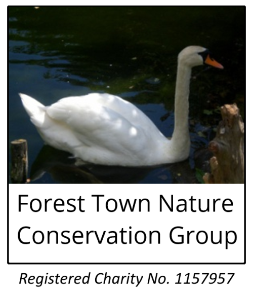 Group logo