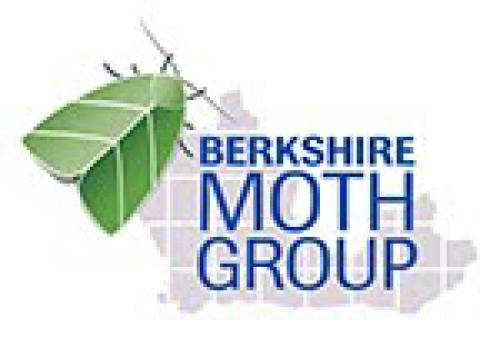 Group logo