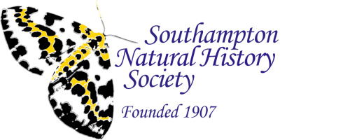 Group logo