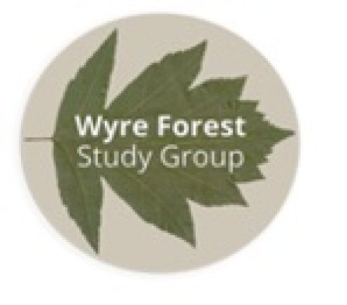 Group logo