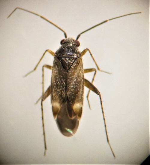 Photo of the association