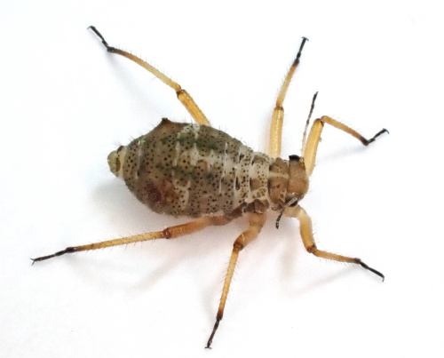 Photo of the association