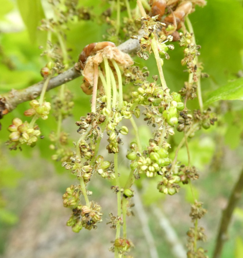 Photo of the association