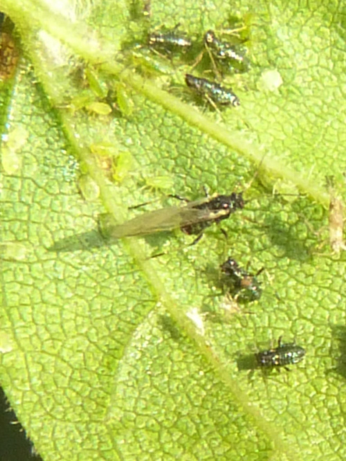 Photo of the association