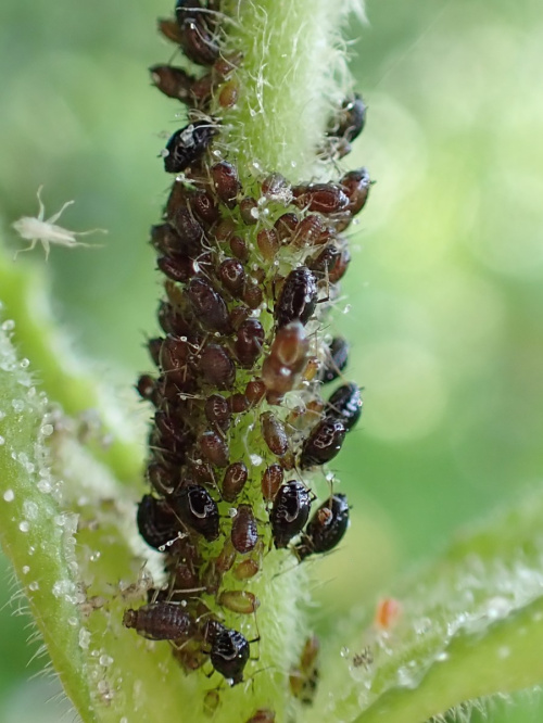 Photo of the association