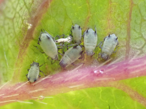 Photo of the association