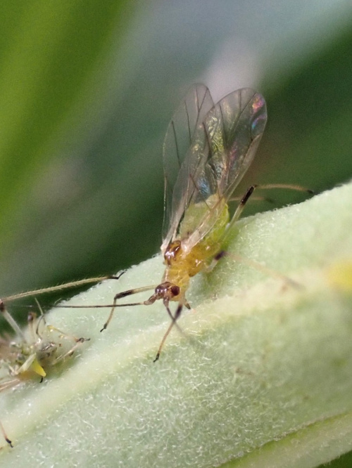 Photo of the association