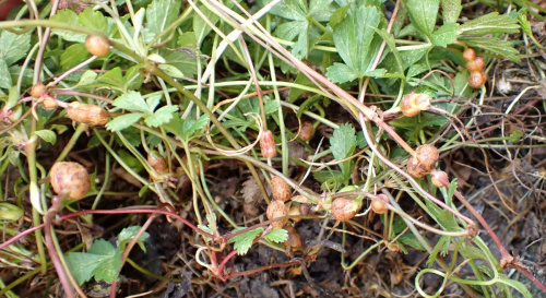 Photo of the association