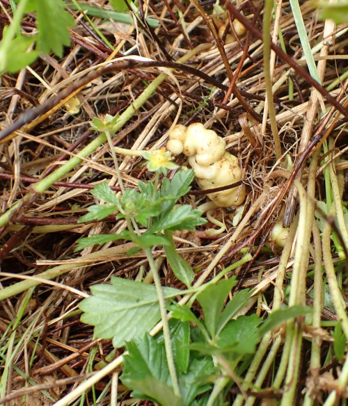 Photo of the association