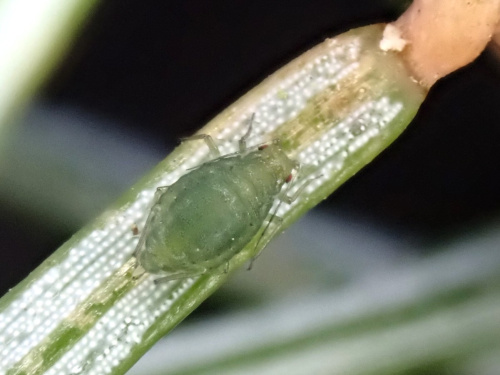 Photo of the association